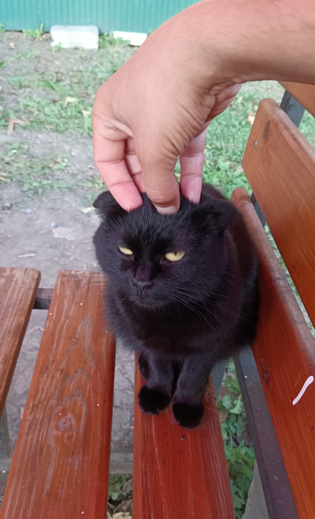 Вернулась