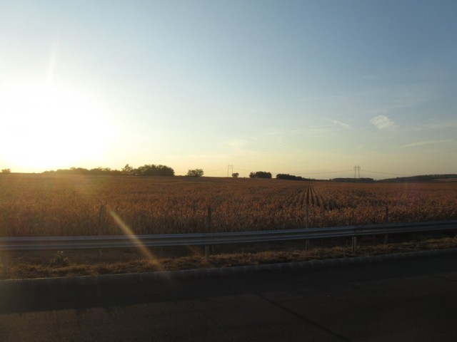 Мечты сбываются