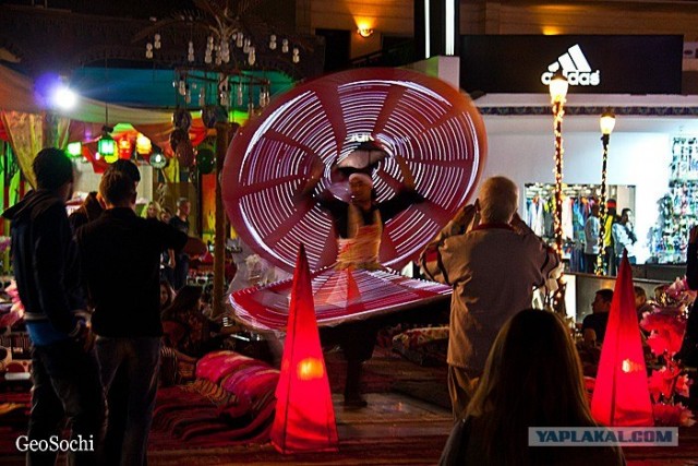 Синайские приключения. Шарм-эш-Шейх и окресности