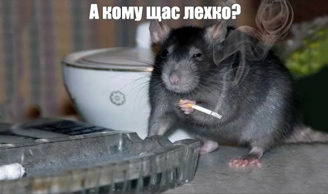 Победная поступь идиотизма по планете – том 4