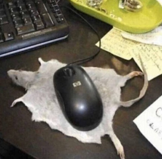 Дичь