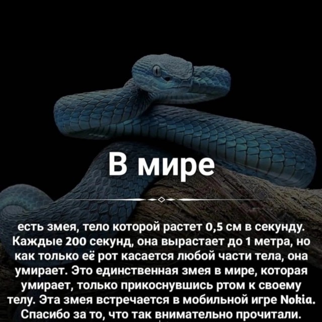 Так себе картинки 27.02.23