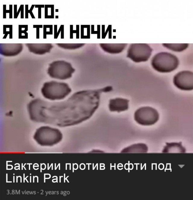 Немного картинок для настроения - 165