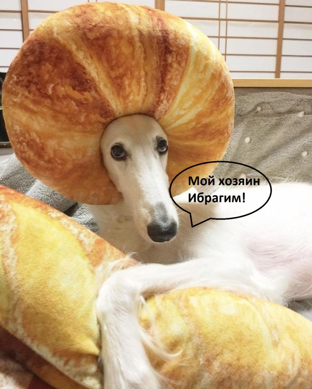 Имя Ибрагим вам о чём-нибудь говорит?⁠⁠