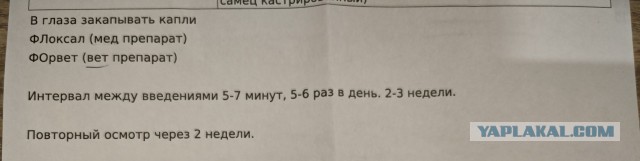 Без врага жизнь скучна, а с врагом - интересна
