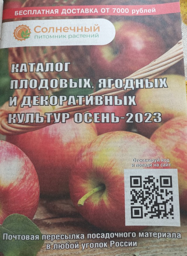 Получаются ли из проституток хорошие жены?