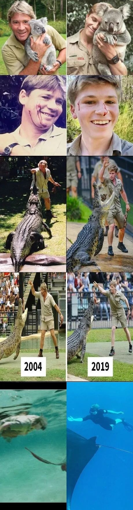 Стив Ирвин по сравнению со своим сыном