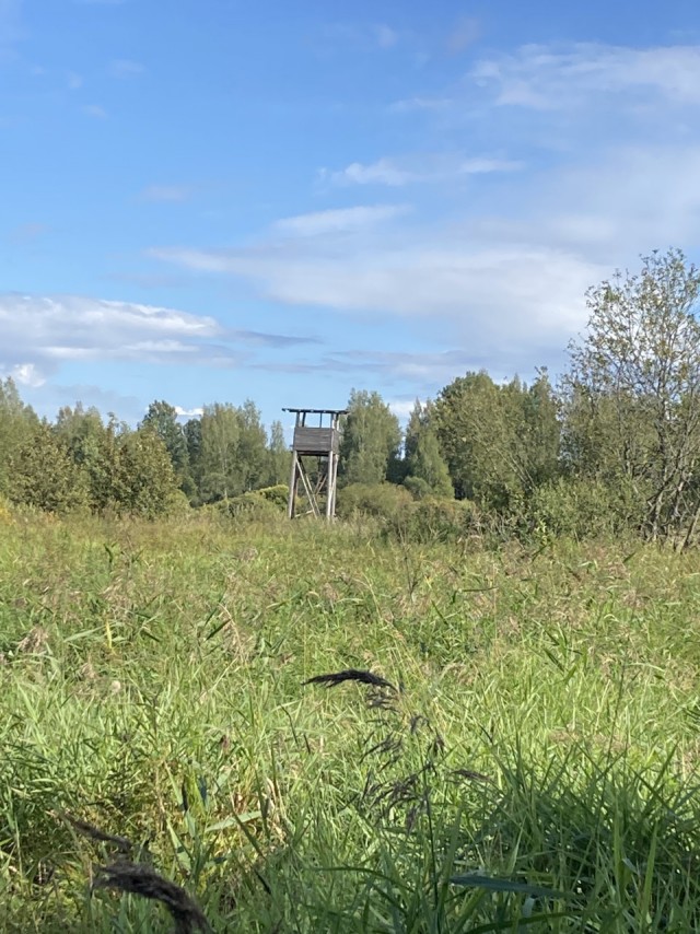 Аракчеевский тракт 26-27.08.23