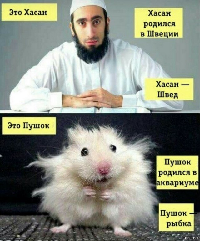 Москвич спрятался в холодильнике магазина бытовой техники, дождался конца рабочего дня и обчистил кассу на 8 тысяч рублей.
