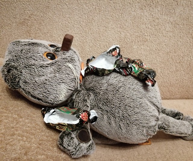 Котик скучает