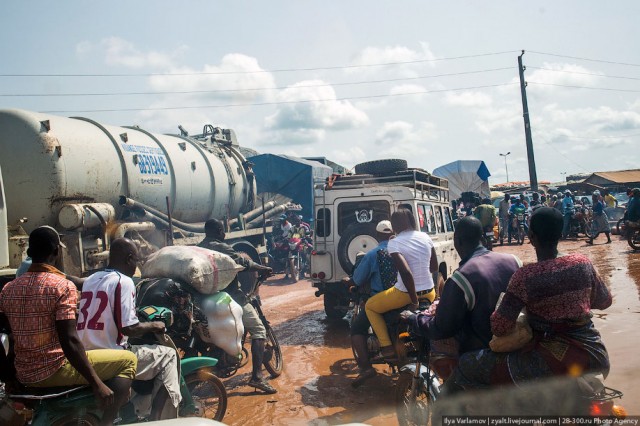 Только крокодилы спасут эту страну от мудаков!