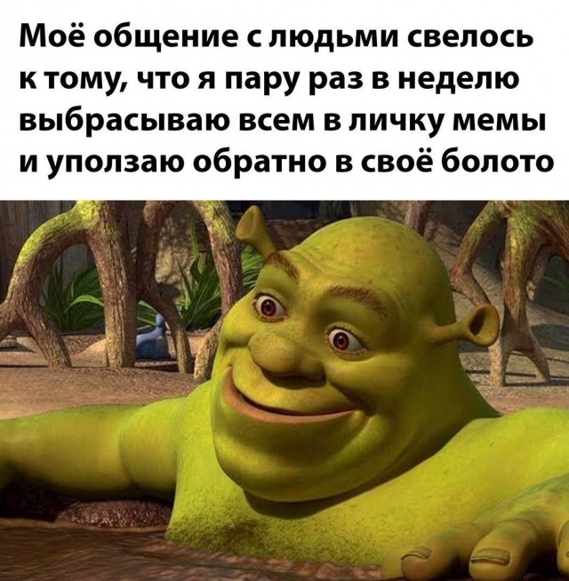 Весёлые картинки