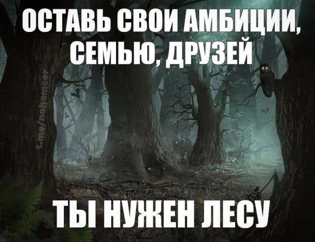 Всего понемногу. От 12.05.2024