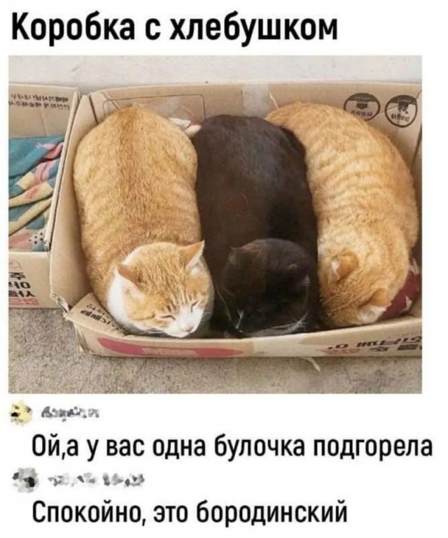 Завалялось тут случайно немного забавных картинок