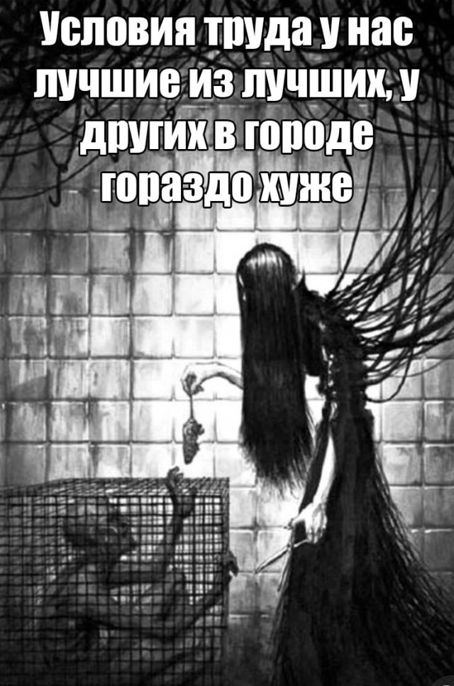 Картинки