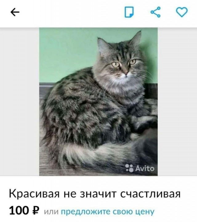 Веселые картинки к маленькой пятнице (28.08)
