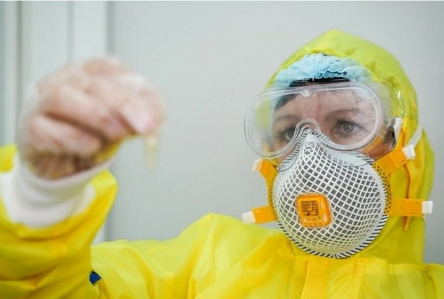 ВОЗ сообщила о риске глобальной эпидемии неизлечимого вируса Марбург