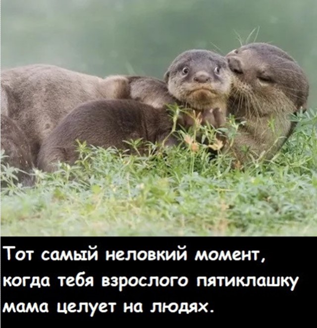 Завалялось тут случайно немного забавных картинок
