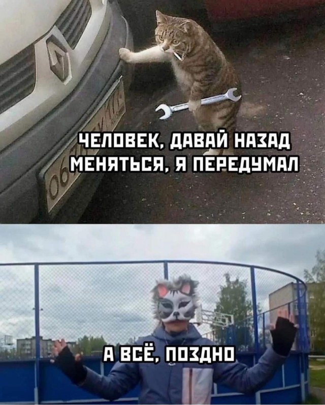 Завалялось тут случайно немного забавных картинок