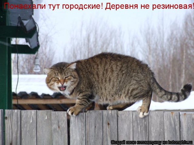 Воплощение зла