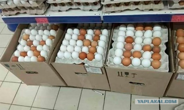 В чем принципиальная разница между дорогими и дешевыми яйцами