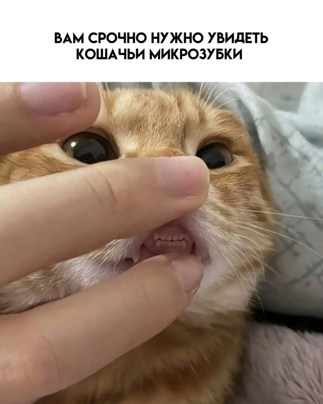 Так себе картинки 23.03.25