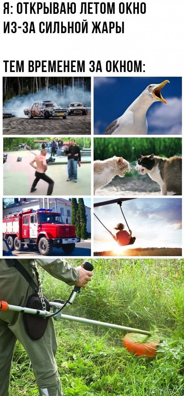 Лето — жаркие дни