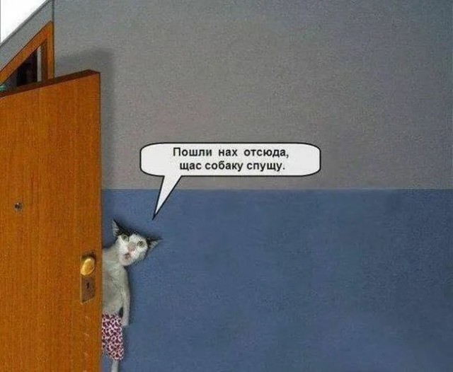 С днем тёмного геонекропсихолога!