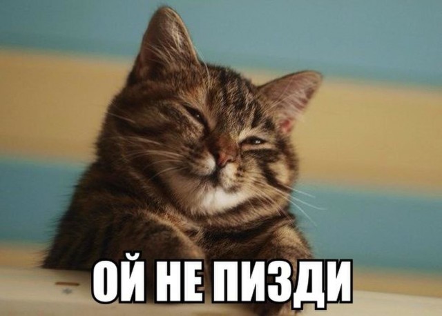 «Спасибо большое, бл**ь!»: