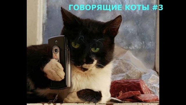В Казани странный тип распылил перцовку в глаза мужчине с собакой 