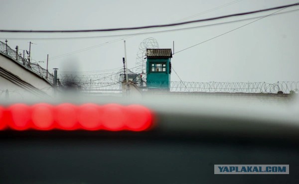 Бариста из Ставрополя получил 20 лет колонии за попытку отравить военных