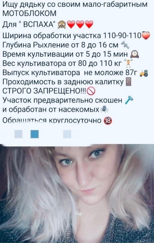 Субботние картинки