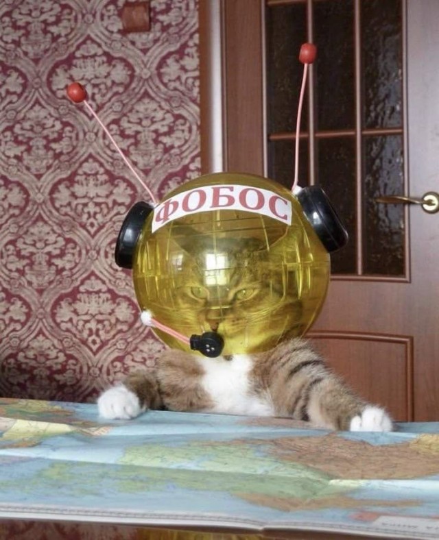 Облет Луны на корабле "Союз".
