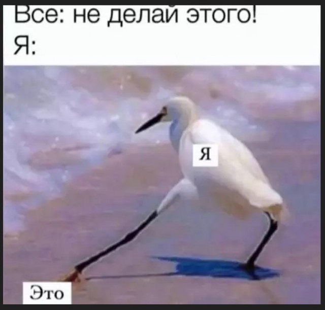 Картиночки, баянчики 21 апреля