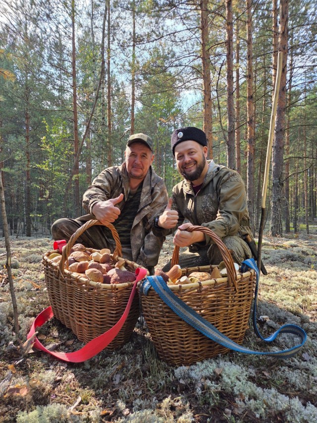 Городские древесные грибы