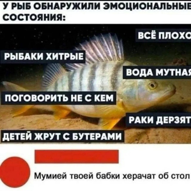Картинки для деградации 238 (разной степени свежести)