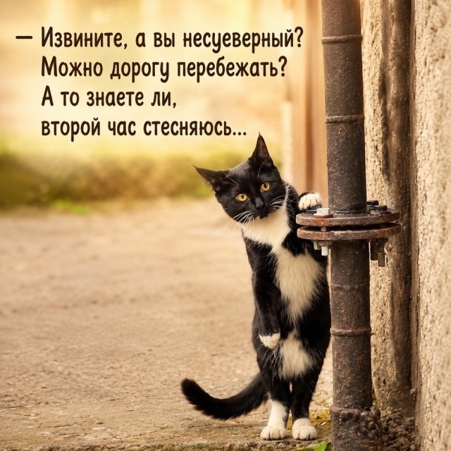 Так себе картинки 16.07.26