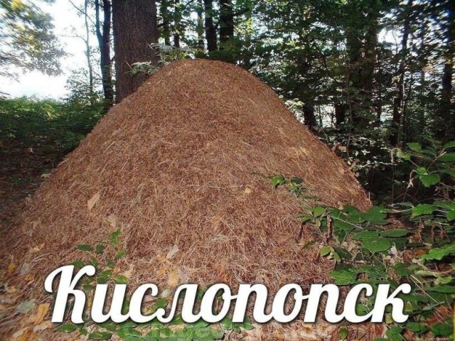 Картинки для деградации 240 (разной степени свежести)
