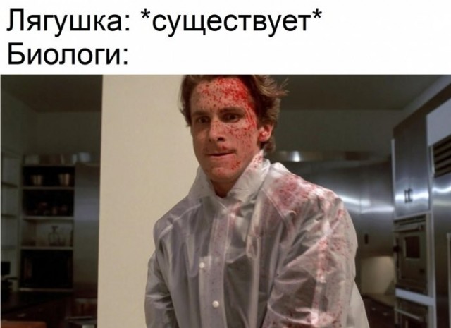 Веселые картинки в пятницу (21.08)