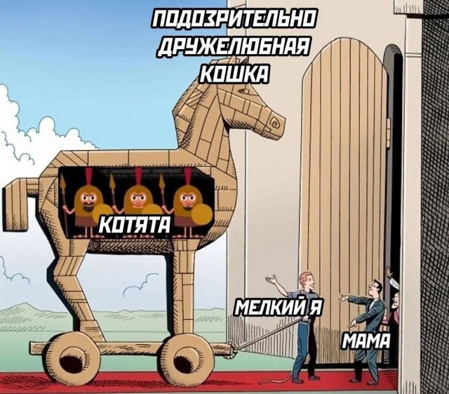 Ко мне так Чубакка пришла