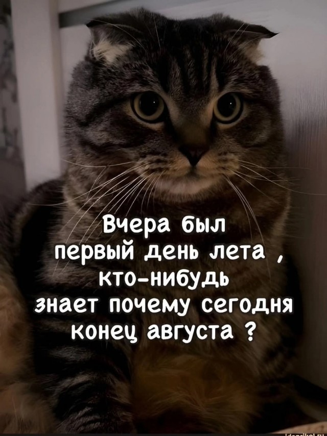 Клуп калхозных пейсателей. Палата №4