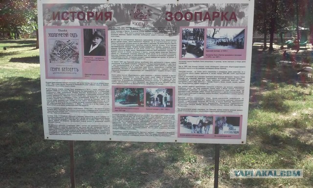 Одессе 232