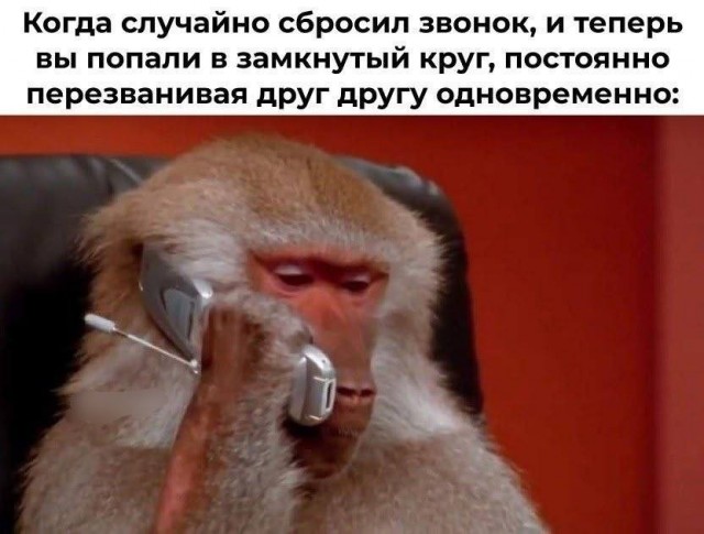 Картинки для деградации 277 (разной степени свежести)