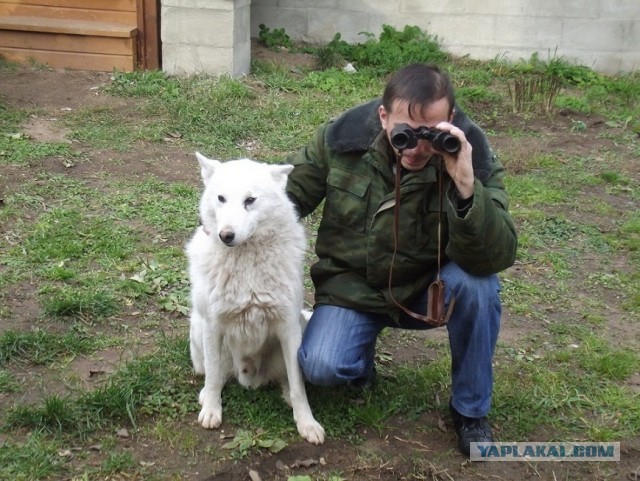 Одна поездка на озеро