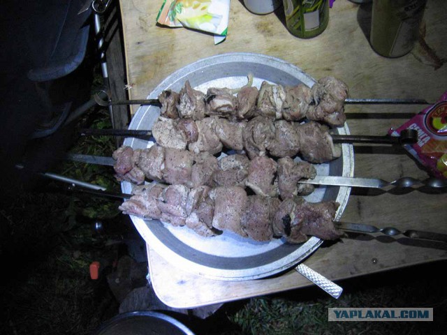 Хобби живёт вопреки.