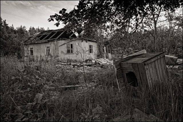 "Звонкие горны". Наши дни.