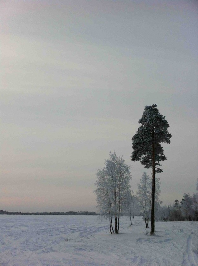 Трасса Нижневартовск-Сургут в -40 градусов