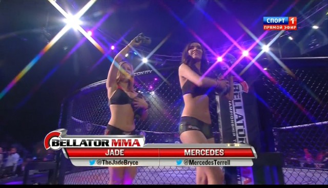 БОКС/MMA....