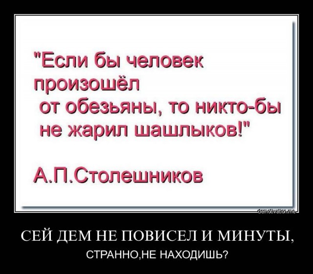 22 доказательства что мы произошли от обезьян
