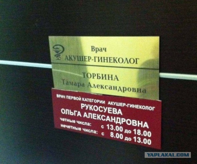 Маразмы месяца